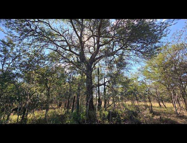 8.80HA VACANT LAND FOR SALE IN BELA BELA RURAL
